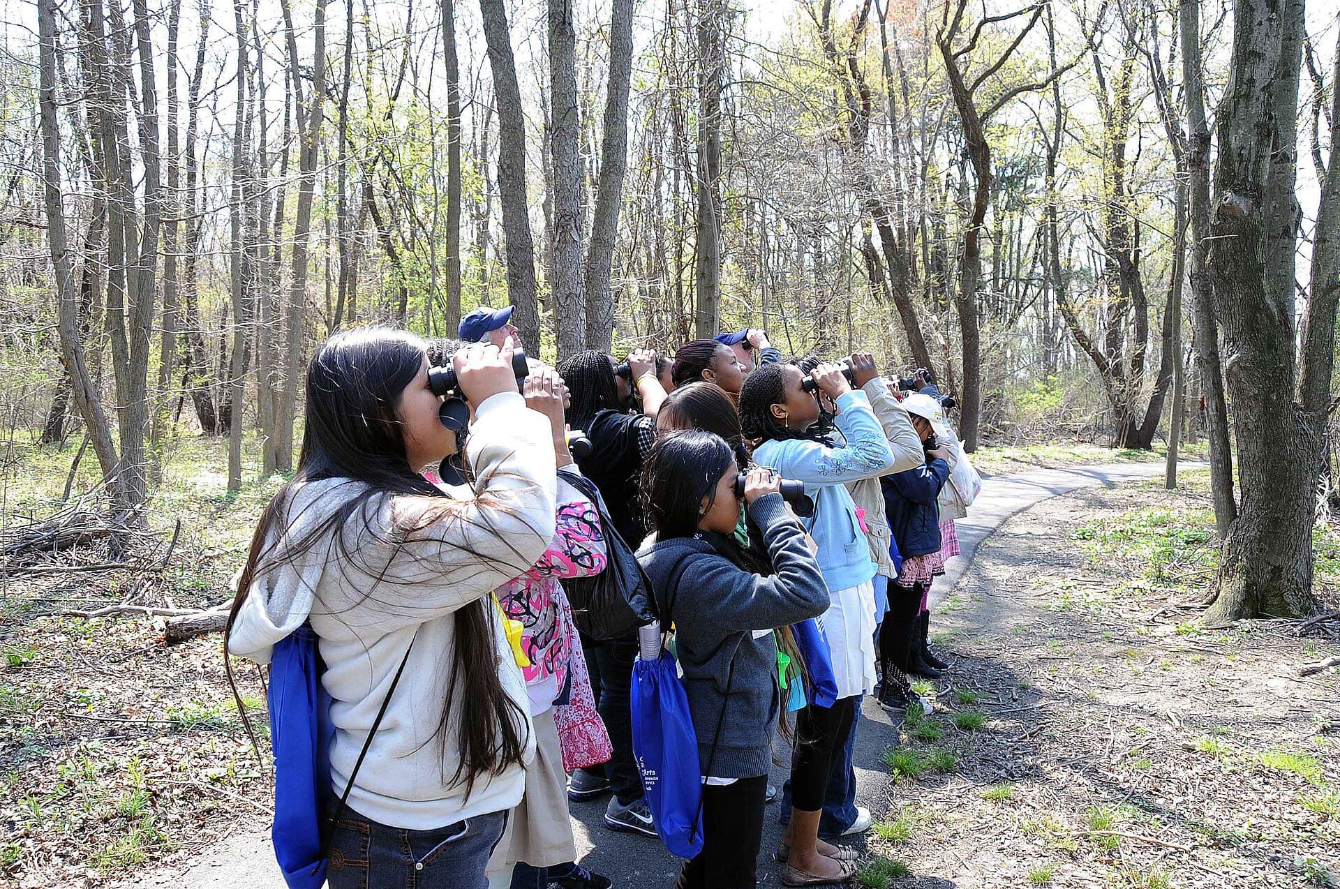 A group of children, seen from behind, watching birds with binoculars on a forest trail.