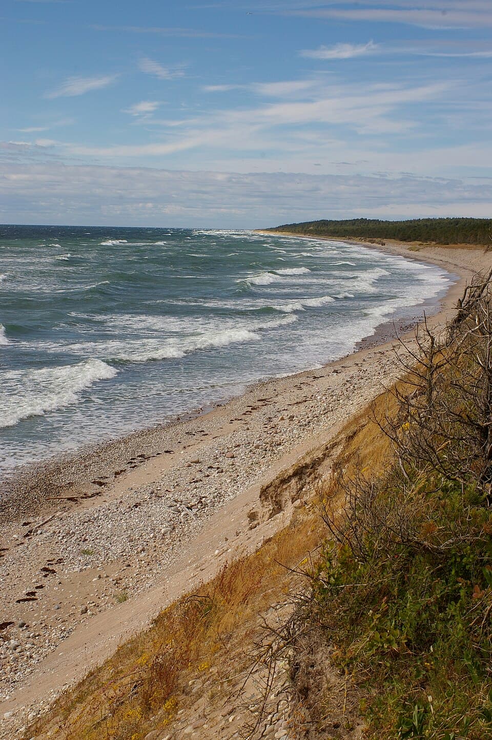 A remote pebble and sand beach on the west coast of Gotska Sandön, with breaking waves and forest in the background.